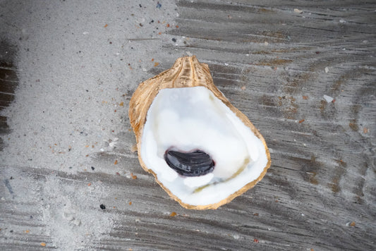 Cumberland Oyster Jewelry Dish - Old Town Oysters